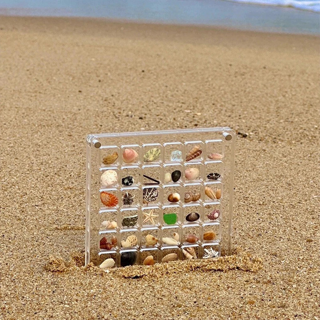 Acrylic Seashell Display Box Magnetic